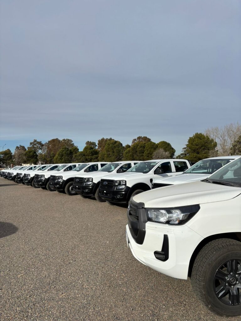 rent a car, alquiler vehiculos